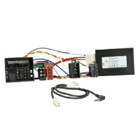 ACV ratstyring man pioneer