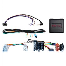 Ratinterface Fiat Ducato 11/2021-2024 ISO Multilead