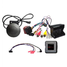 Ratinterface Citroën/Peugeot 40Pin Quadlock PDC