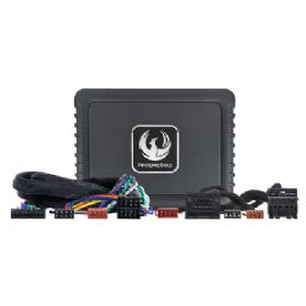 Phoenix Gold DSP Forstærker kit Chevrolet, Opel 08-17