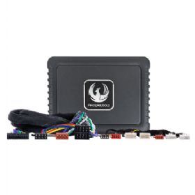 Phoenix Gold DSP Forstærker kit til Hyundai, Kia 10-17