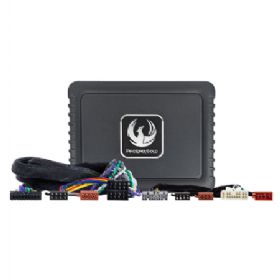 Phoenix Gold DSP Forstærker kit til Isuzu 1993-