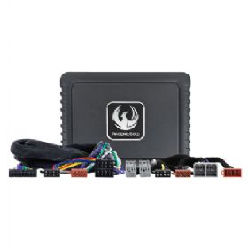 Phoenix Gold DSP Forstærker kit til MG 2019-