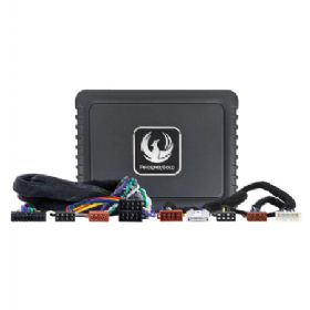 Phoenix Gold DSP Forstærker kit til Nissan 2004-