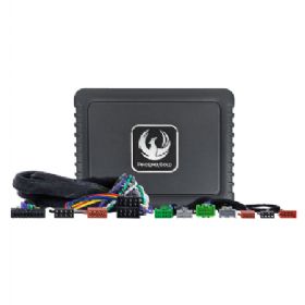 Phoenix Gold DSP Forstærker kit til Opel 2013-2024