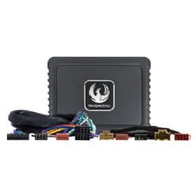 Phoenix Gold DSP Forstærker kit Opel 2013-2020