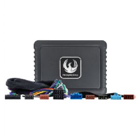 Phoenix Gold DSP Forstærker kit Citroën, Peugeot 21-