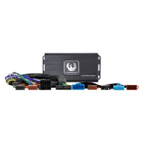 Phoenix Gold Forstærker kit til Citroën, Peugeot 2021-