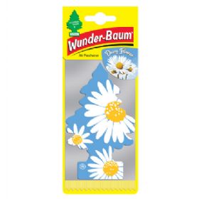 1 stk. Wunderbaum daisy flower