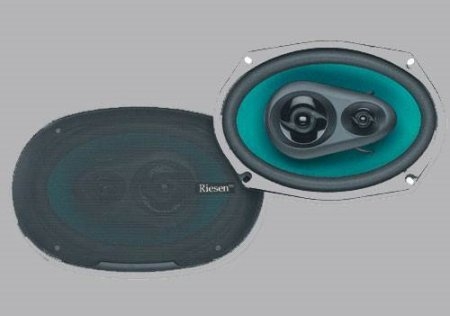 RIESEN 350W 6X9" 3vejs